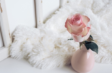 Image of flower and soft flooring Image of flower and soft flooring