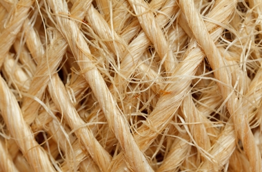 How to clean sisal carpet